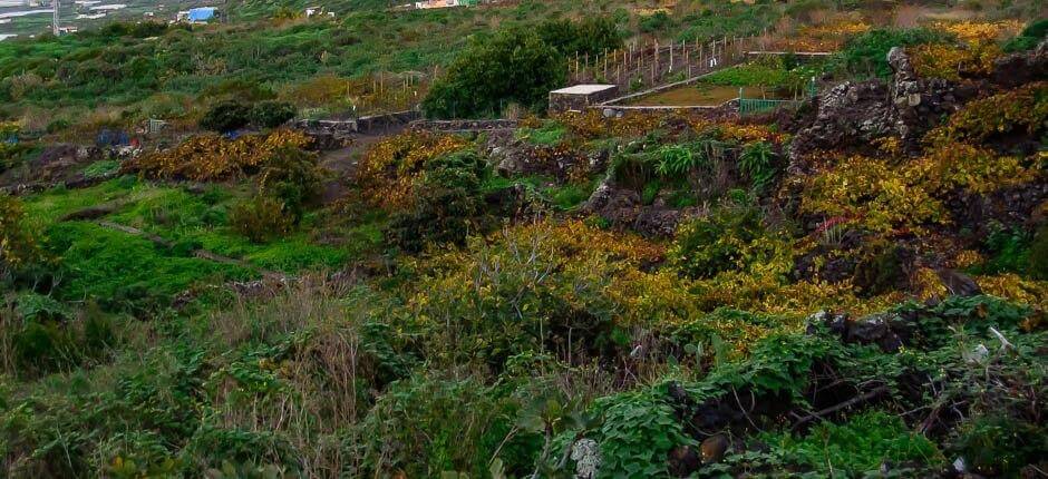 Los Llanillos. Caseríos de El Hierro.