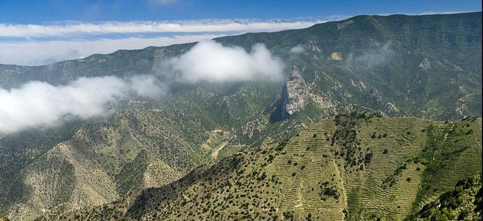 Vallehermoso Rundtur + Vandreruter på La Gomera