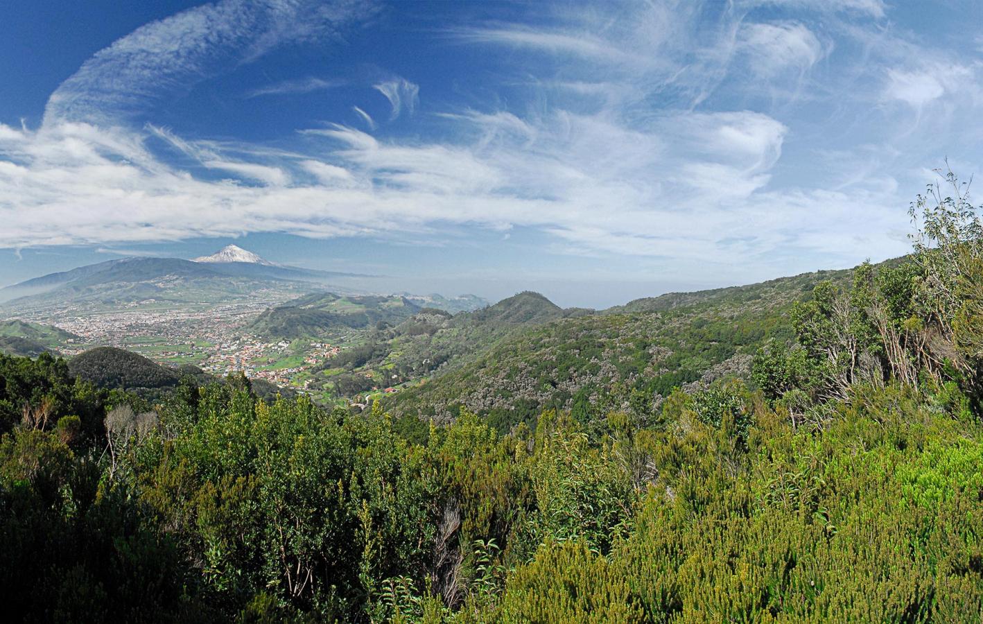 Cruz del Carmen-Punta del Hidalgo. Senderos de Tenerife