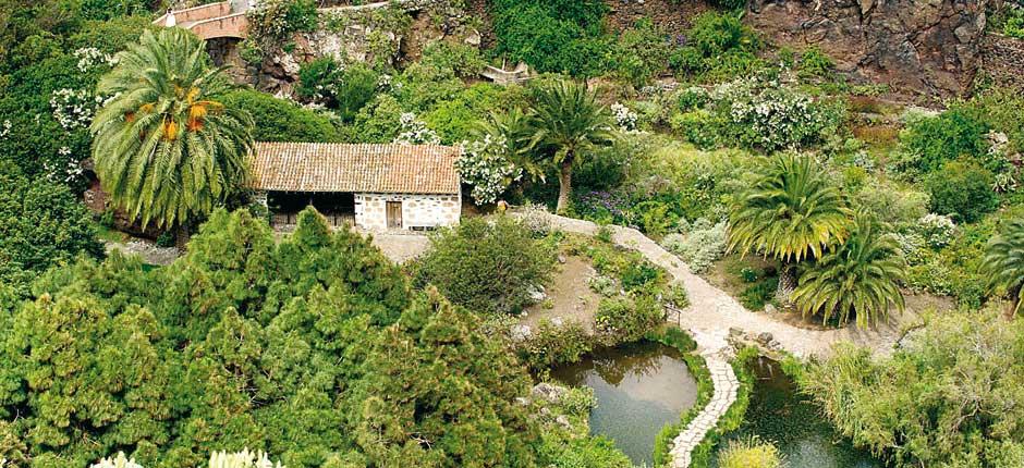 Botanisk Have Viera y Clavijo Museer og turistcentre på Gran Canaria