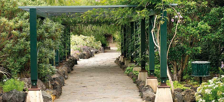 Botanisk Have Viera y Clavijo Museer og turistcentre på Gran Canaria
