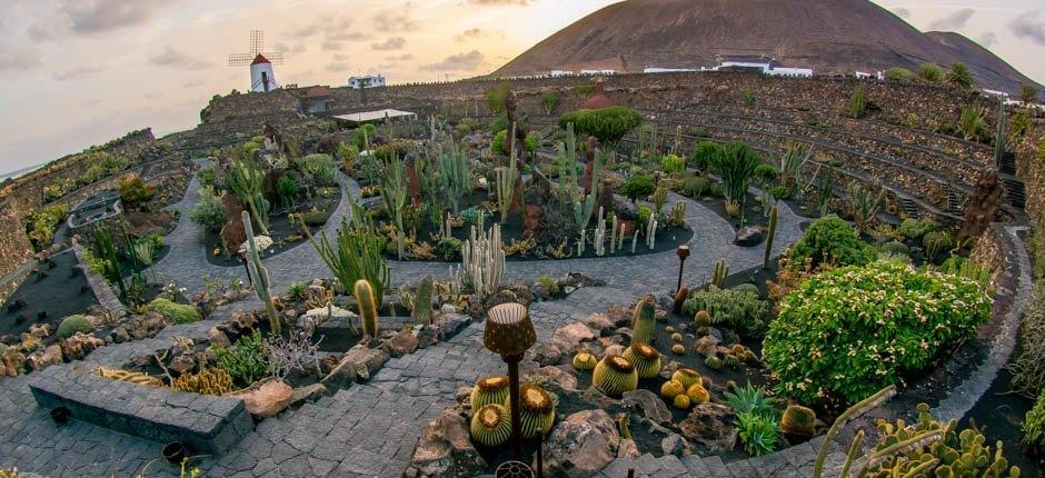 Kaktushaven Museer og turistcentre på Lanzarote