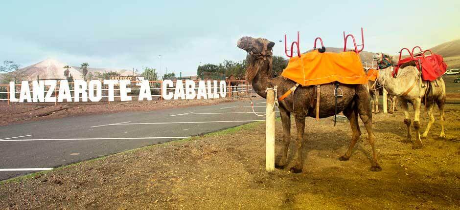 Lanzarote a Caballo Atracciones turísticas de Lanzarote