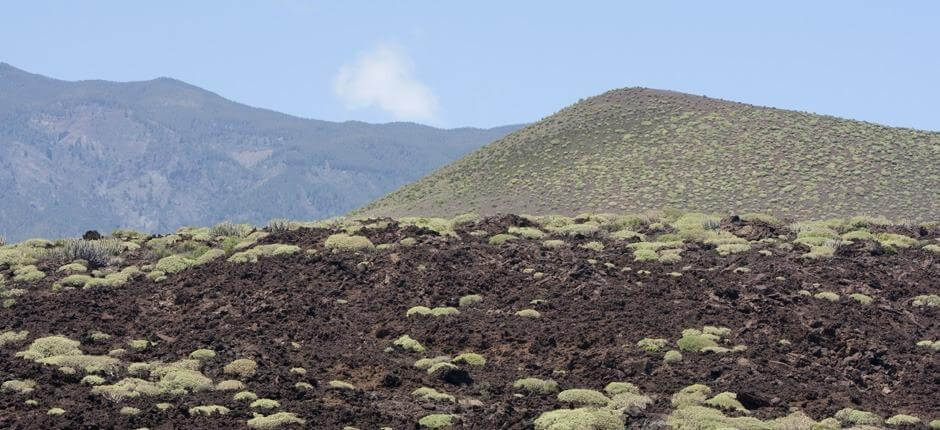 Malpaís de Güímar Espacios naturales de Tenerife