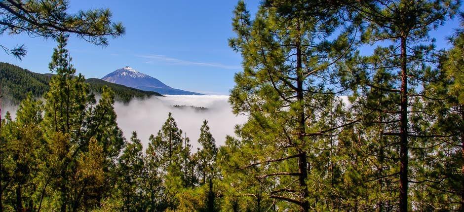 Udsigtspunktet Ortuño på Tenerife