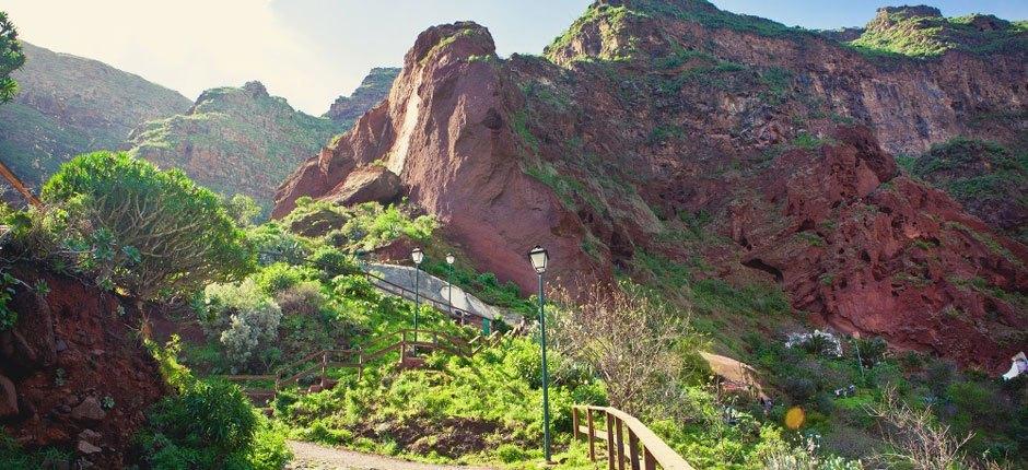 Monumento Natural del Barranco de Guayadeque, en Gran Canaria