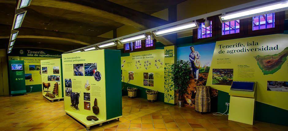 Casa del Vino y la Miel (Vin- og Honninghuset) Museer og turistcentre på Tenerife