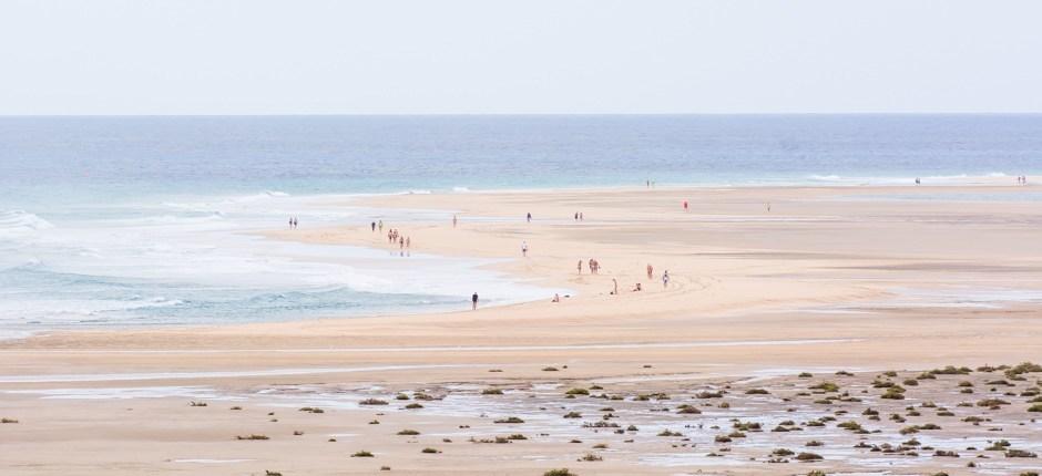 Playa de Sotavento. Playas vírgenes de Fuerteventura