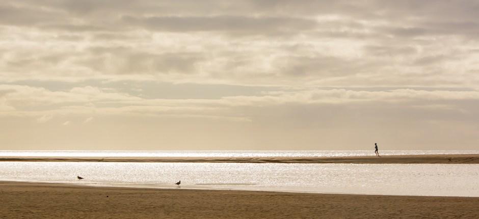 Playa de Sotavento. Playas vírgenes de Fuerteventura