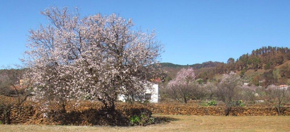 El Pinar pueblos con encanto de El Hierro