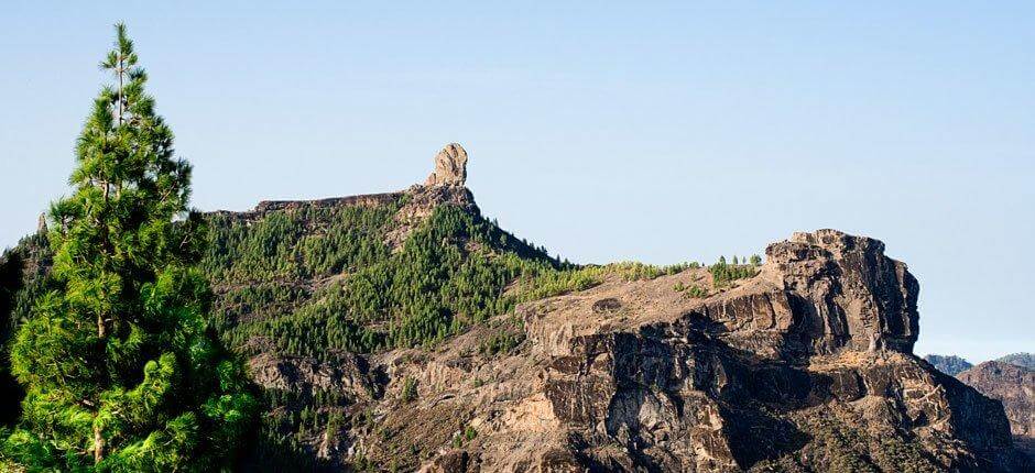 Roque Nublo + Vandreruter på Gran Canaria