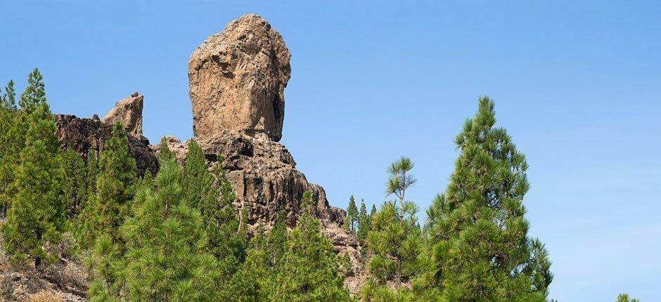 Roque Nublo + Vandreruter på Gran Canaria