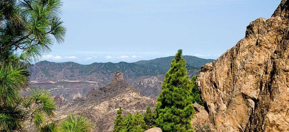 Roque Nublo + Vandreruter på Gran Canaria