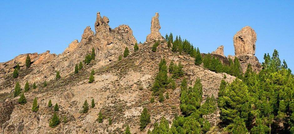 Roque Nublo + Vandreruter på Gran Canaria