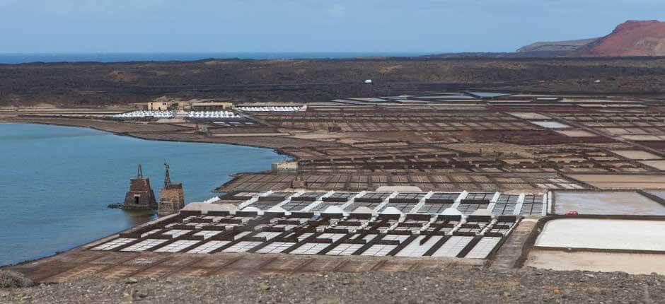 Saltlaguner i Janubio, på Lanzarote