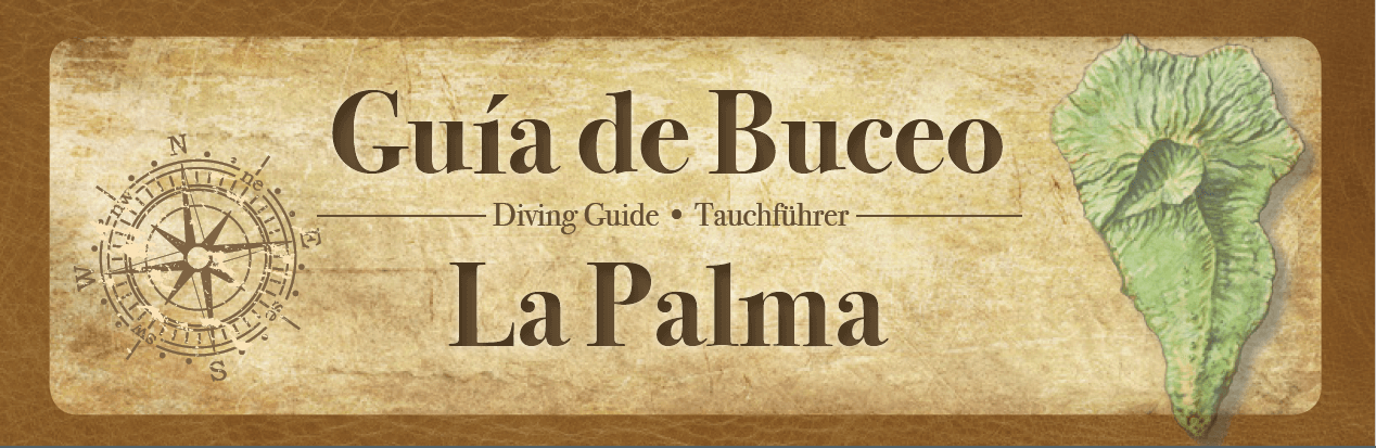 Guide • Tauchführer  • Guía de Buceo